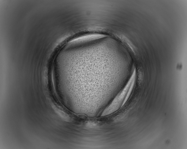 X0000100750684200807031336