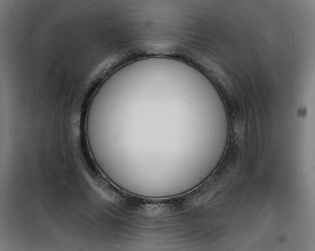 X0000100750686200807031336