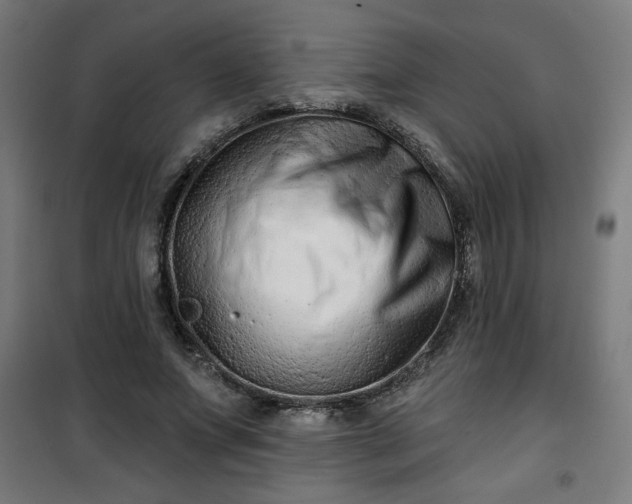 X0000100750687200807031336