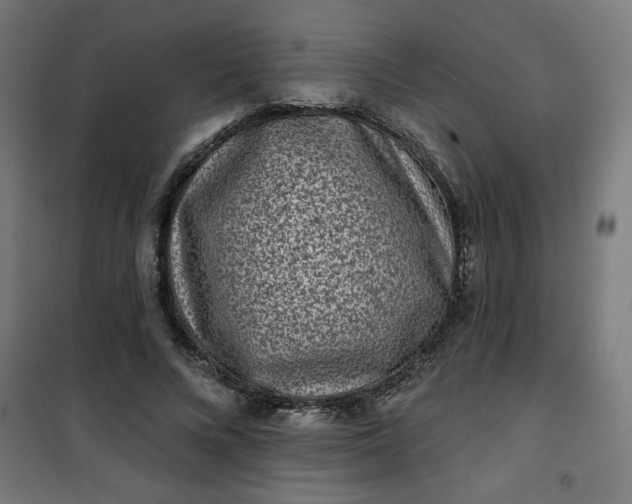 X0000100750688200807031336