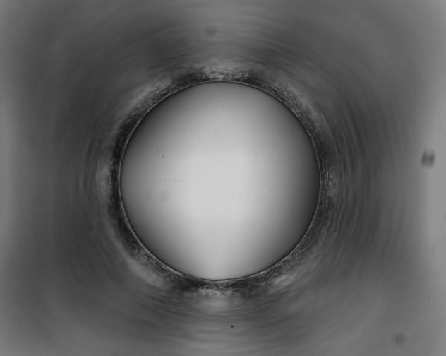 X0000100750690200807031336