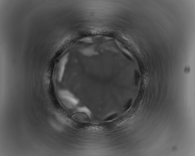 X0000100750691200807031336