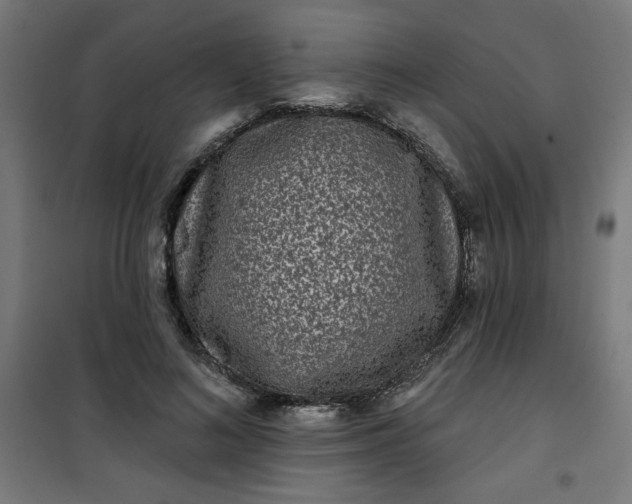 X0000100750692200807031336