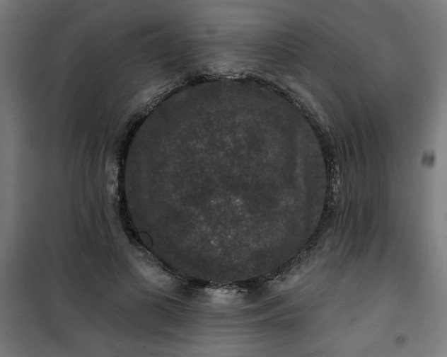 X0000100750693200807031336