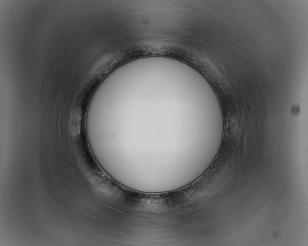 X0000100750694200807031336