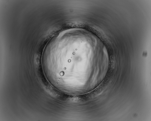 X0000100750695200807031336