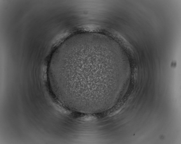 X0000100750696200807031336