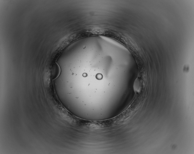 X0000100750697200807031336