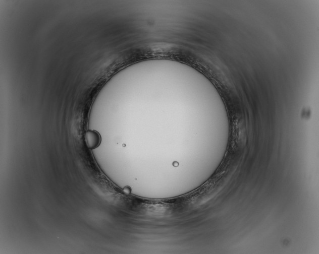 X0000100750698200807031336