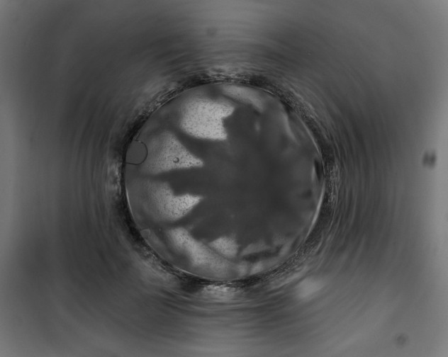 X0000100750699200807031336