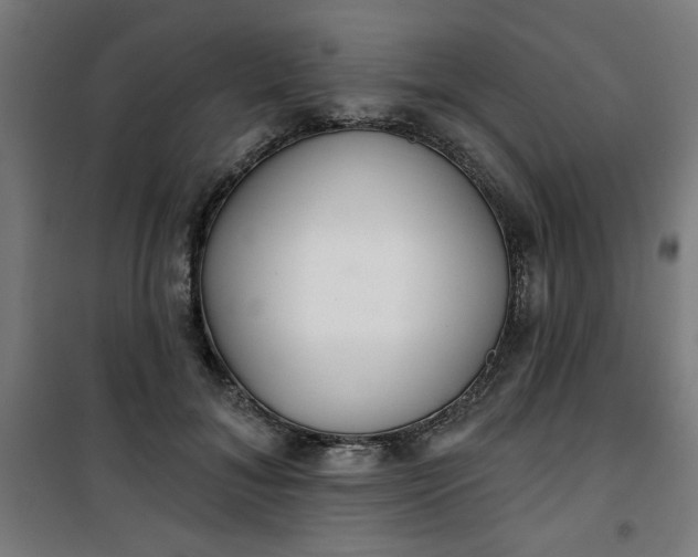 X0000100750700200807031336