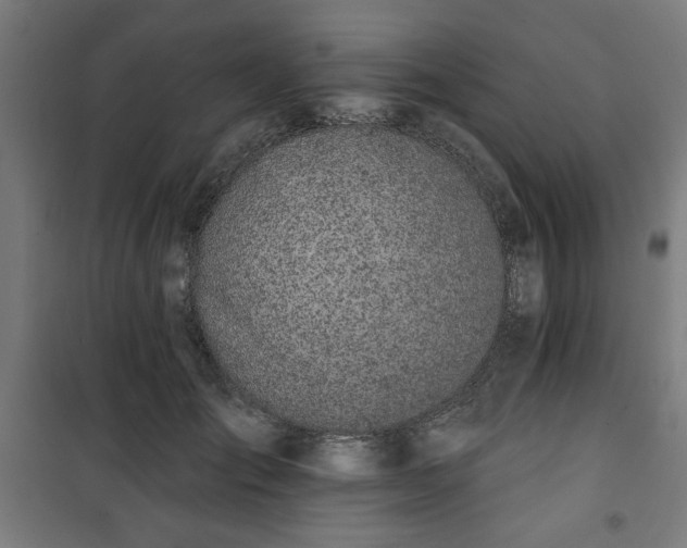 X0000100750701200807031336