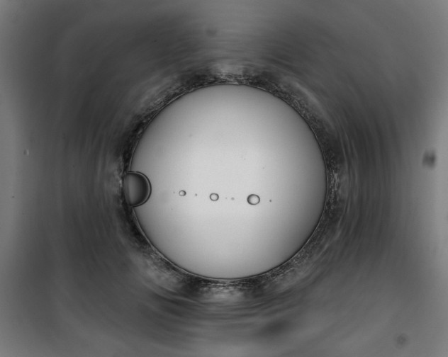 X0000100750702200807031336