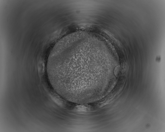 X0000100750703200807031336