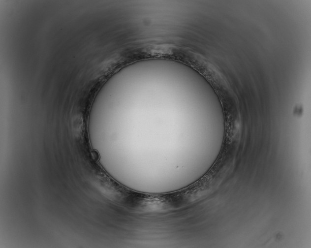 X0000100750704200807031336