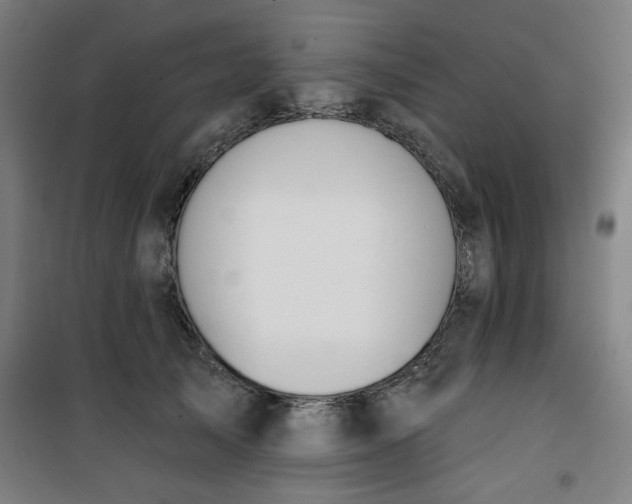 X0000100750705200807031336