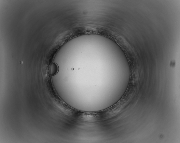 X0000100750706200807031336