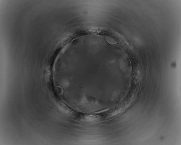 X0000100750707200807031336