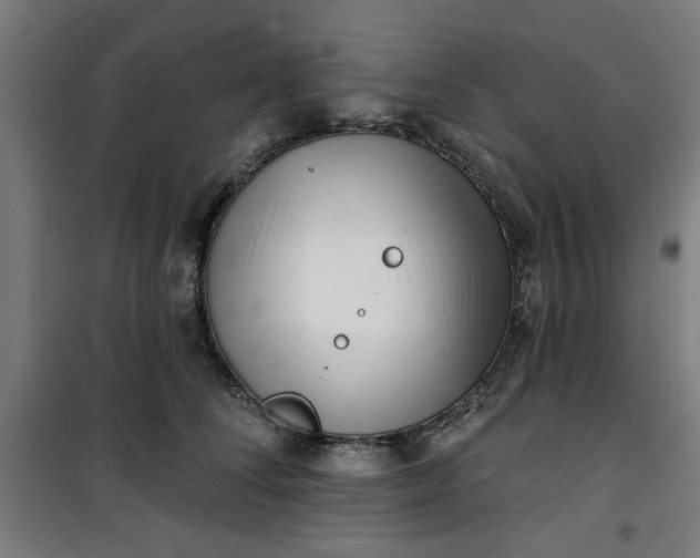 X0000100750708200807031336