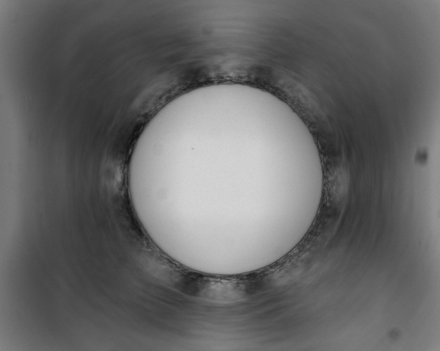 X0000100750709200807031336