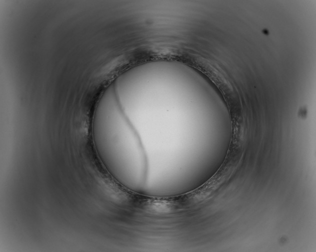 X0000100750710200807031336