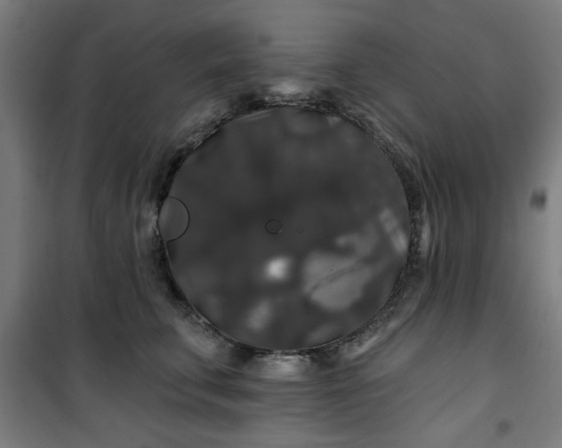 X0000100750711200807031336