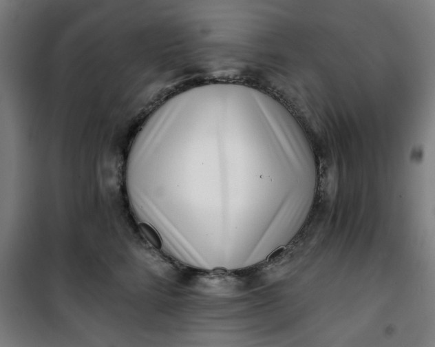 X0000100750712200807031336