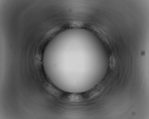 X0000100750714200807031336