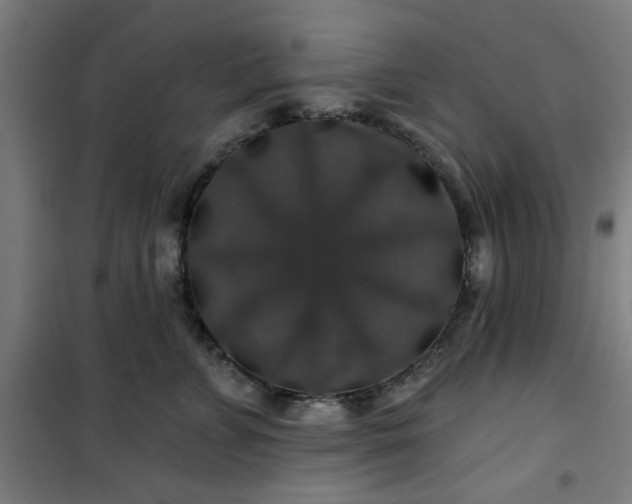 X0000100750715200807031336