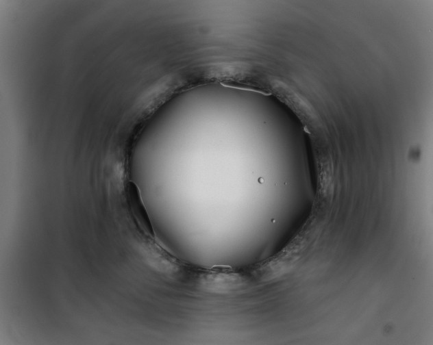 X0000100750716200807031335