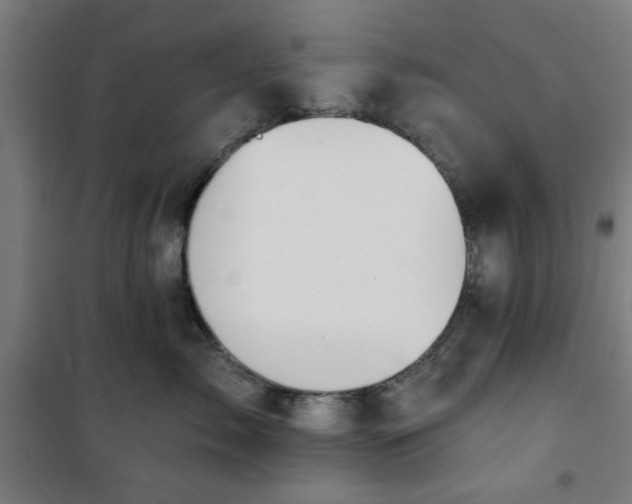 X0000100750717200807031335