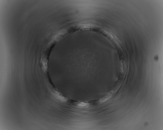 X0000100750718200807031335