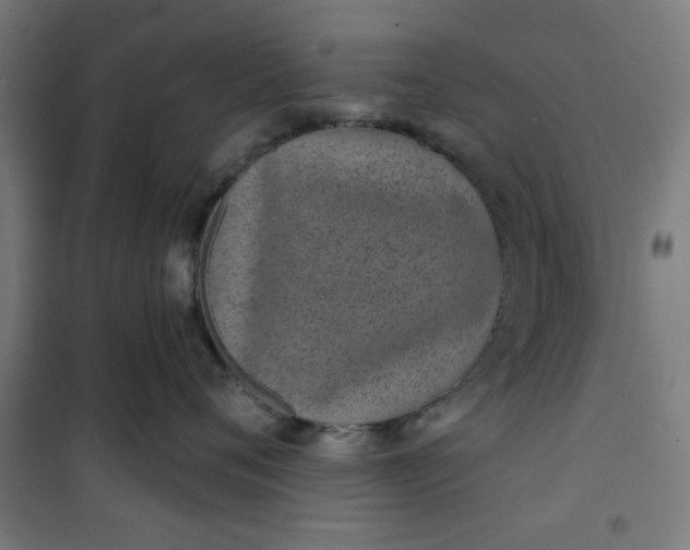 X0000100750720200807031335