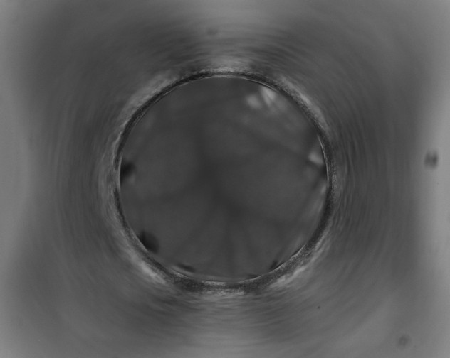 X0000100750721200807031335