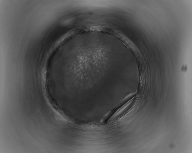 X0000100750722200807031335