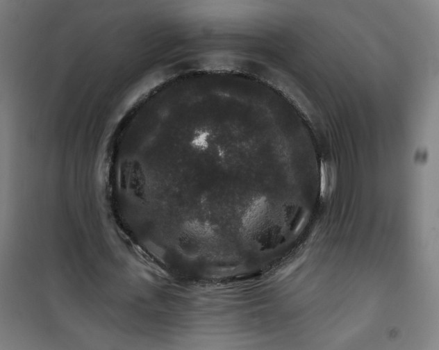 X0000100750723200807031335