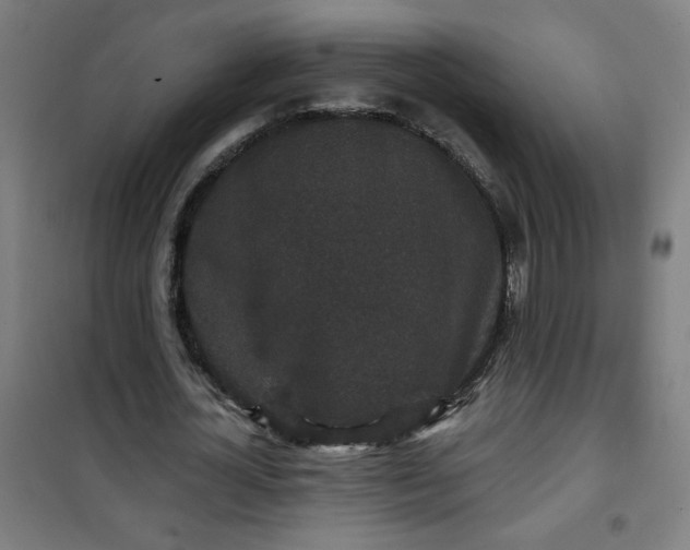 X0000100750724200807031335