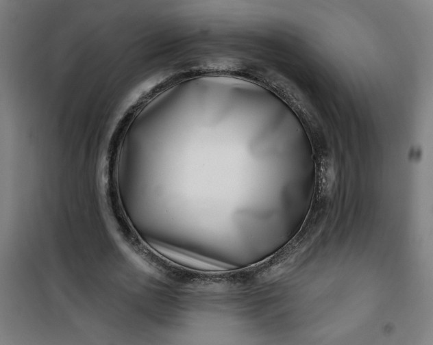 X0000100750726200807031335