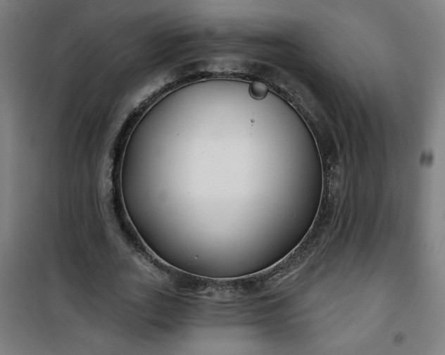 X0000100750727200807031335