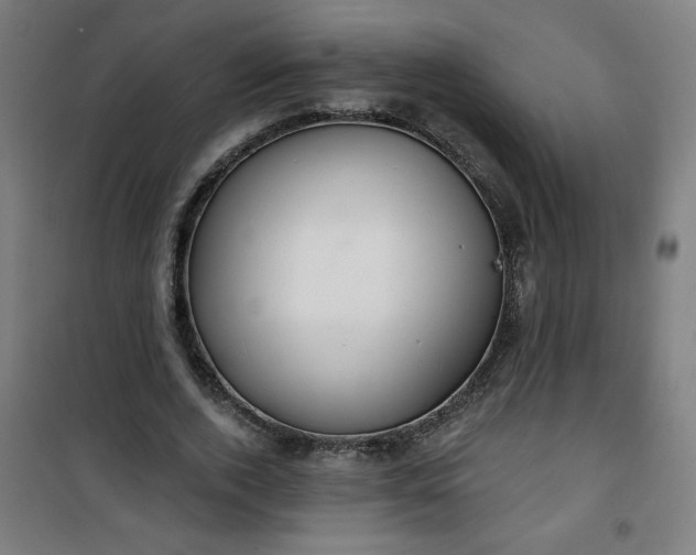 X0000100750728200807031335