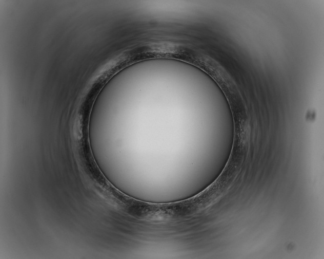 X0000100750731200807031335