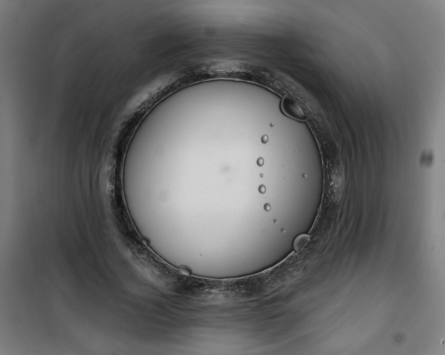 X0000100750732200807031335