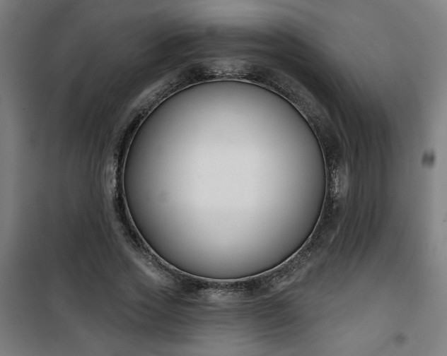 X0000100750733200807031335