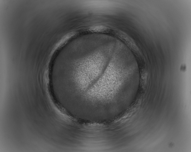 X0000100750734200807031335