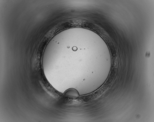 X0000100750737200807031335