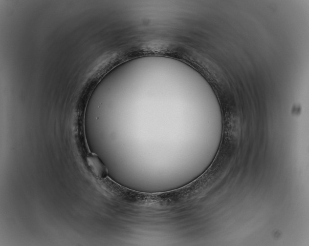 X0000100750738200807031335