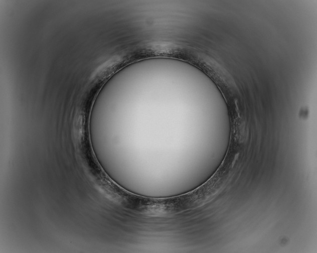 X0000100750740200807031335