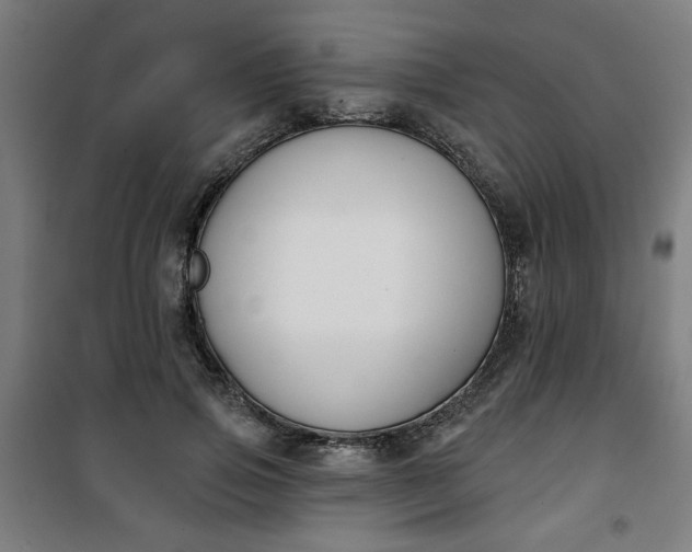 X0000100750741200807031335