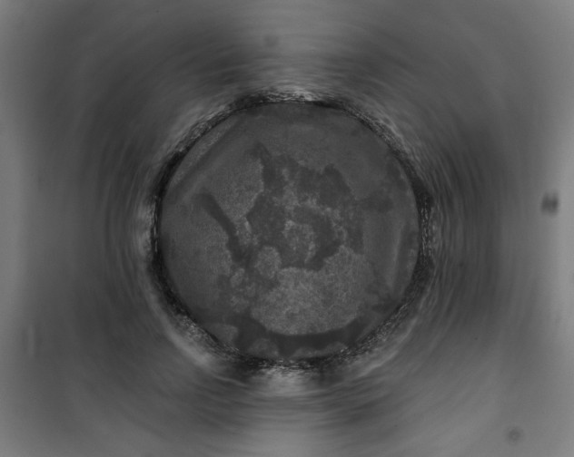 X0000100750742200807031335