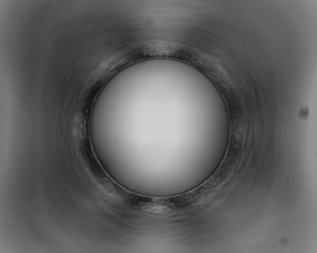 X0000100750743200807031335